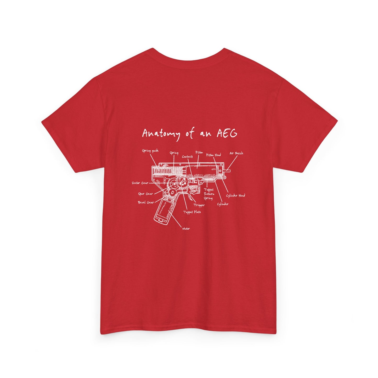 Anatomy and an AEG