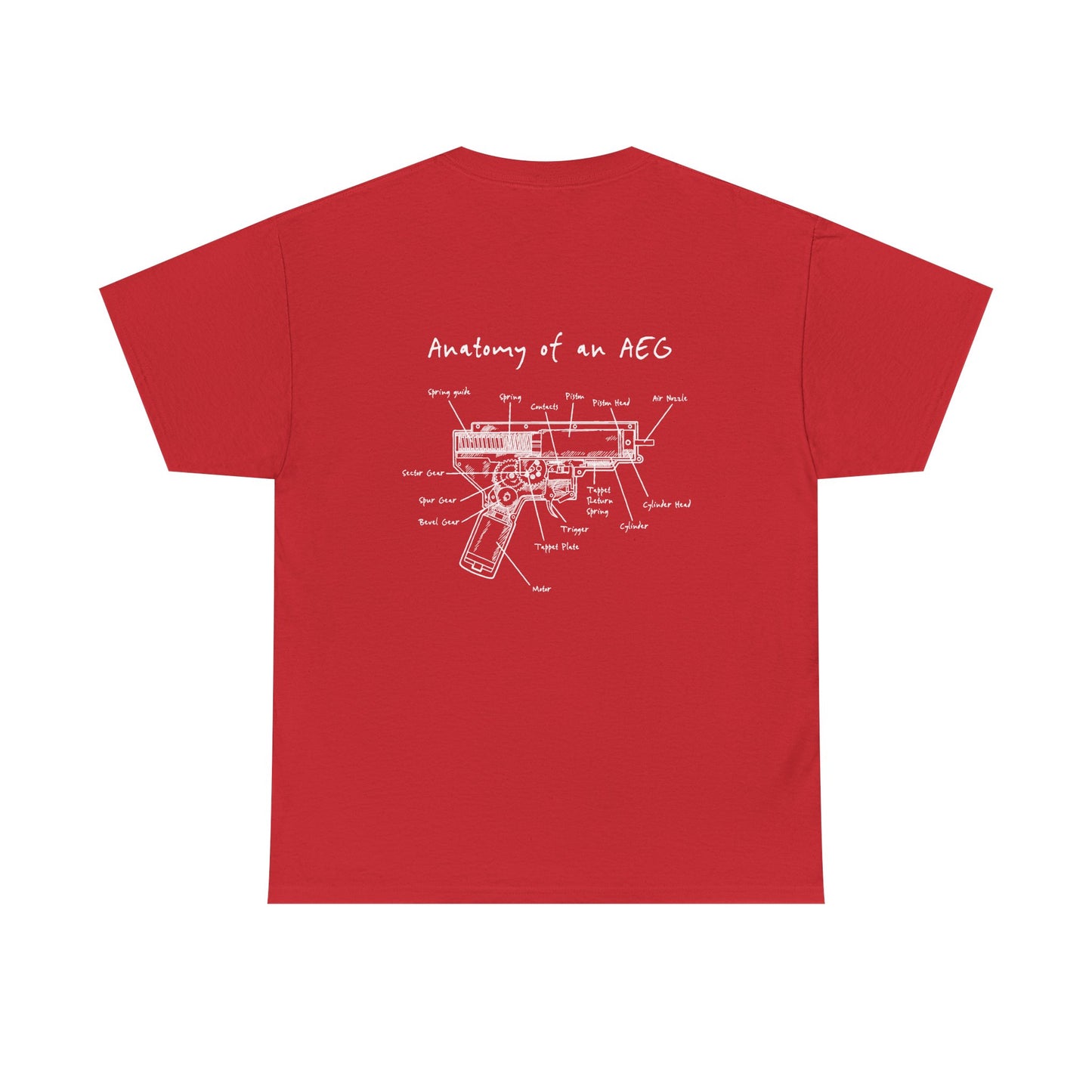 Anatomy and an AEG