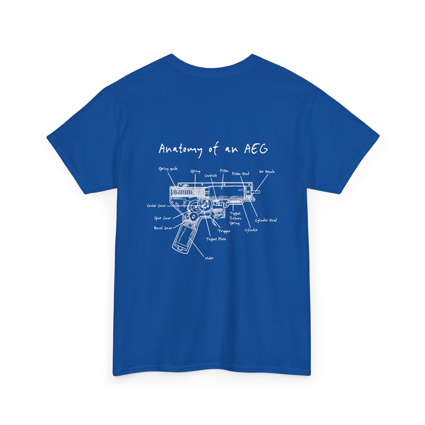 Anatomy and an AEG