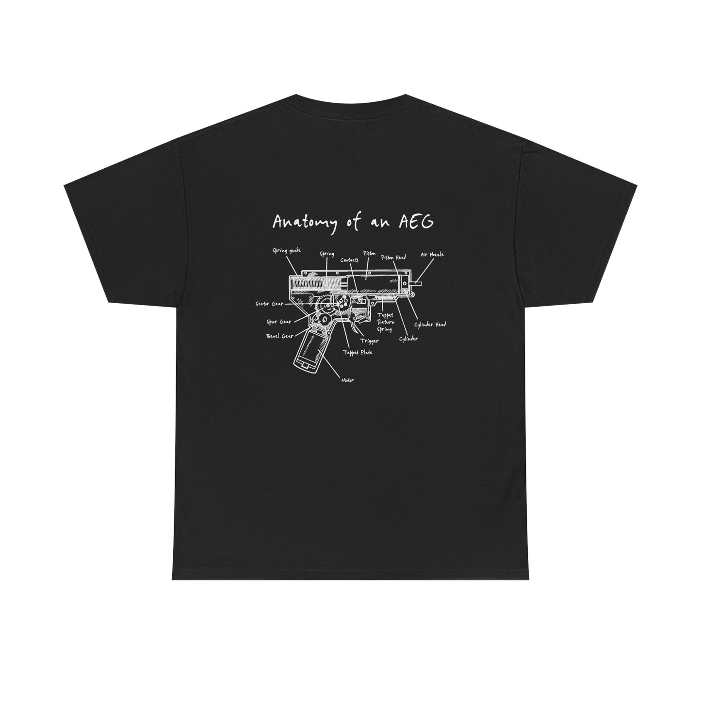 Anatomy and an AEG