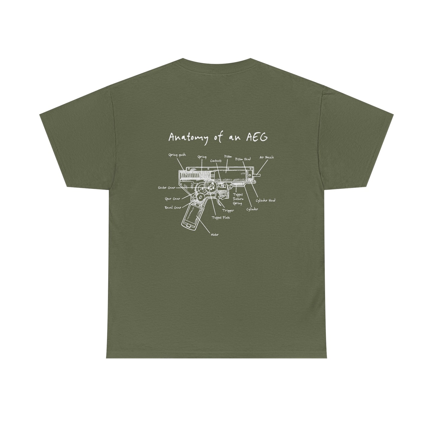 Anatomy and an AEG