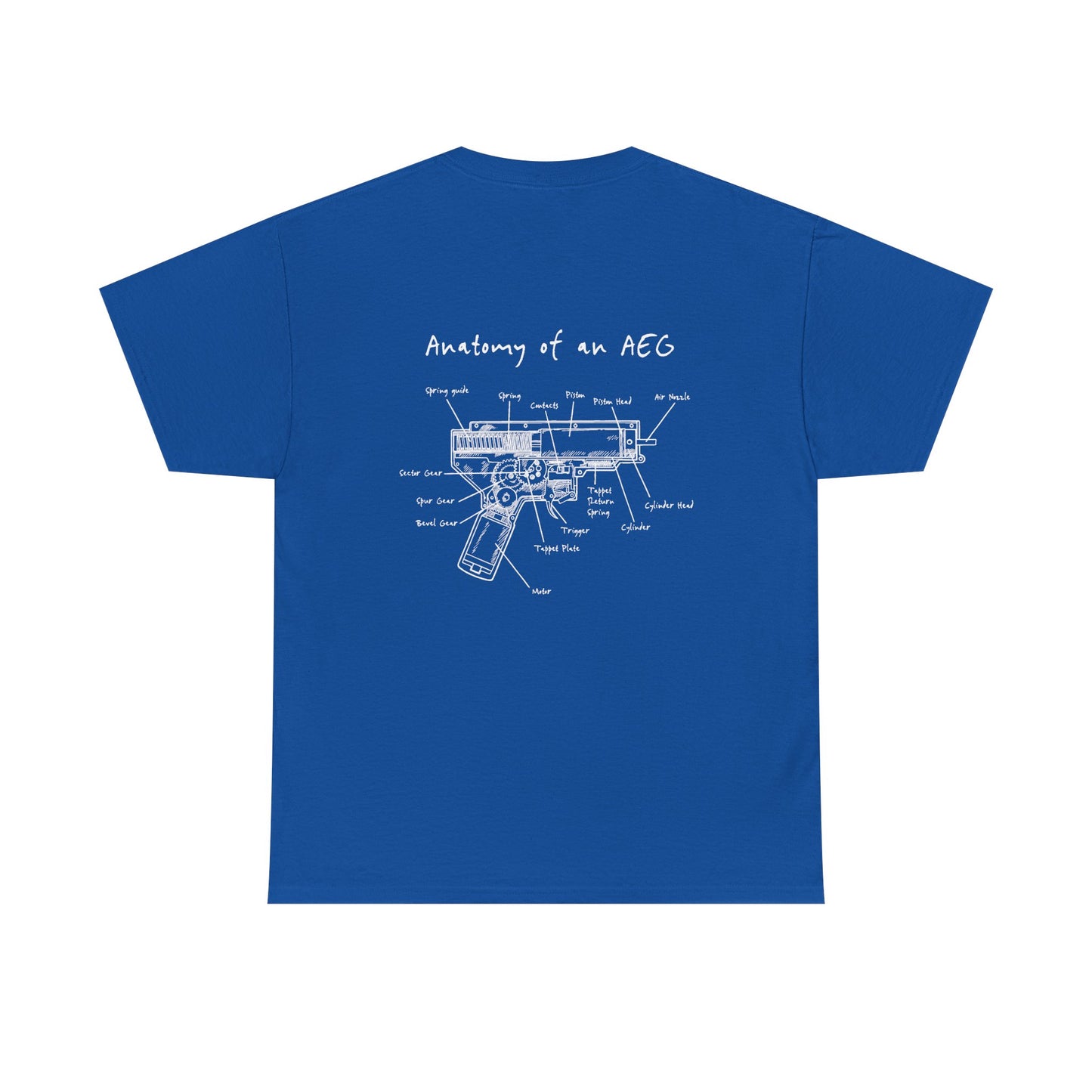 Anatomy and an AEG