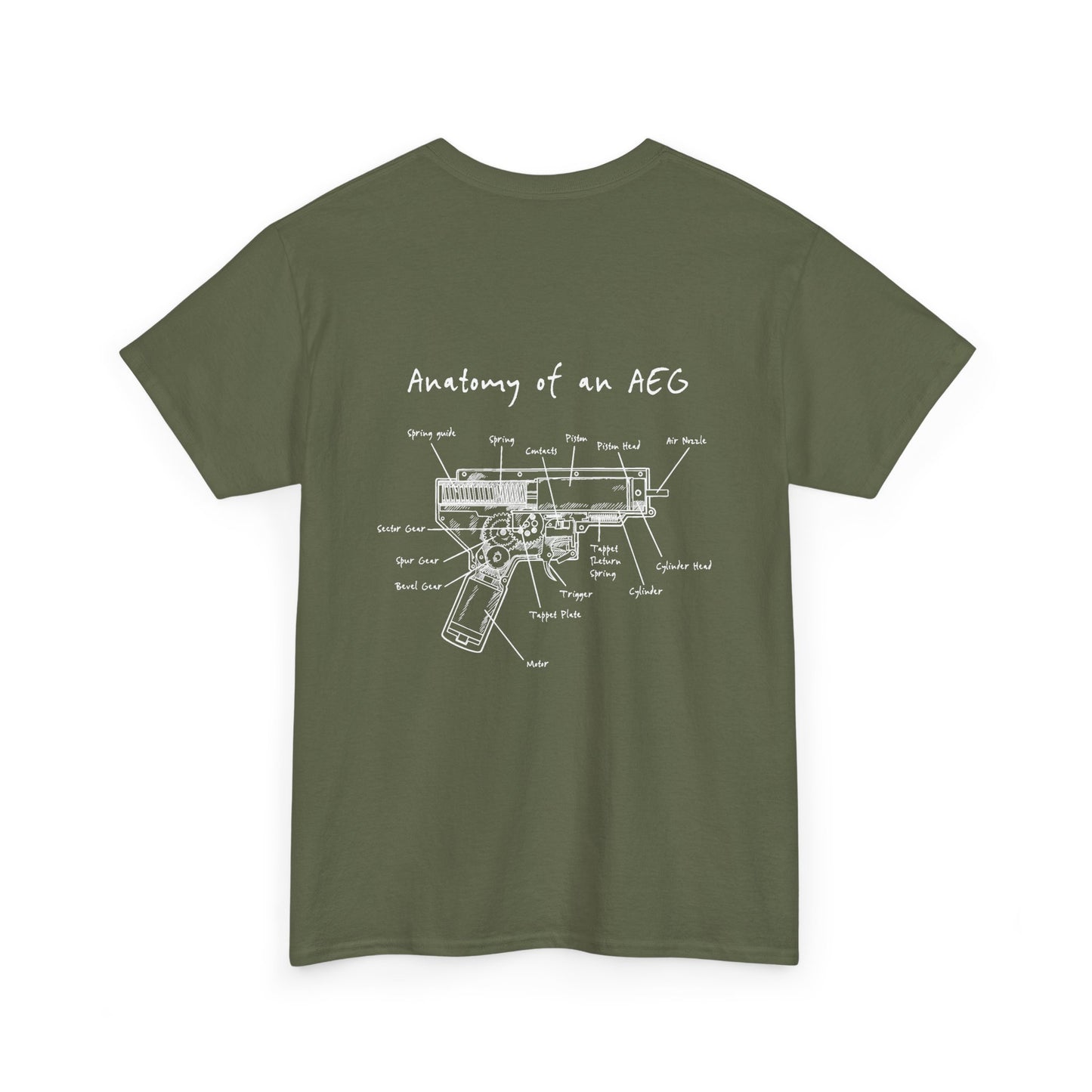 Anatomy and an AEG