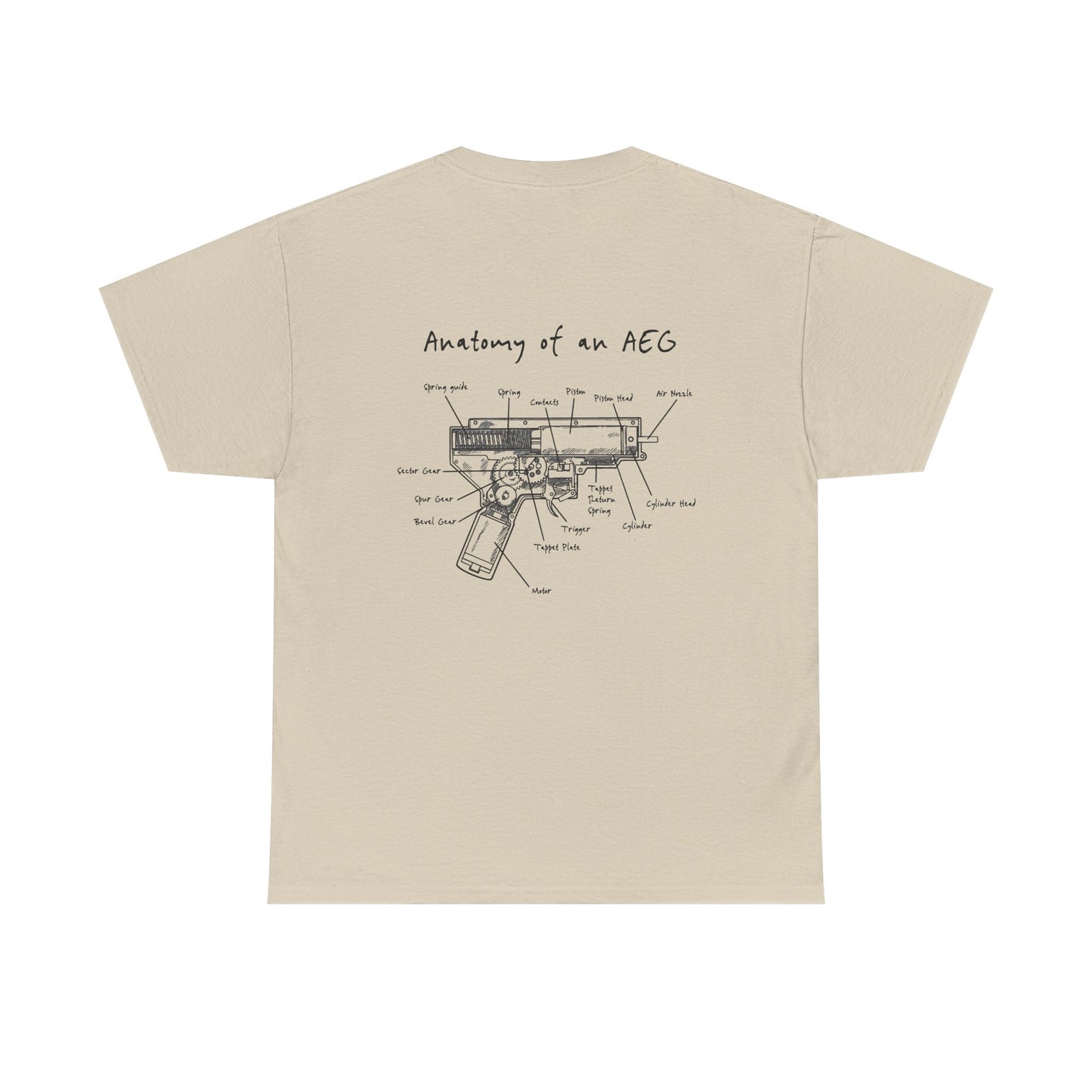 Anatomy and an AEG