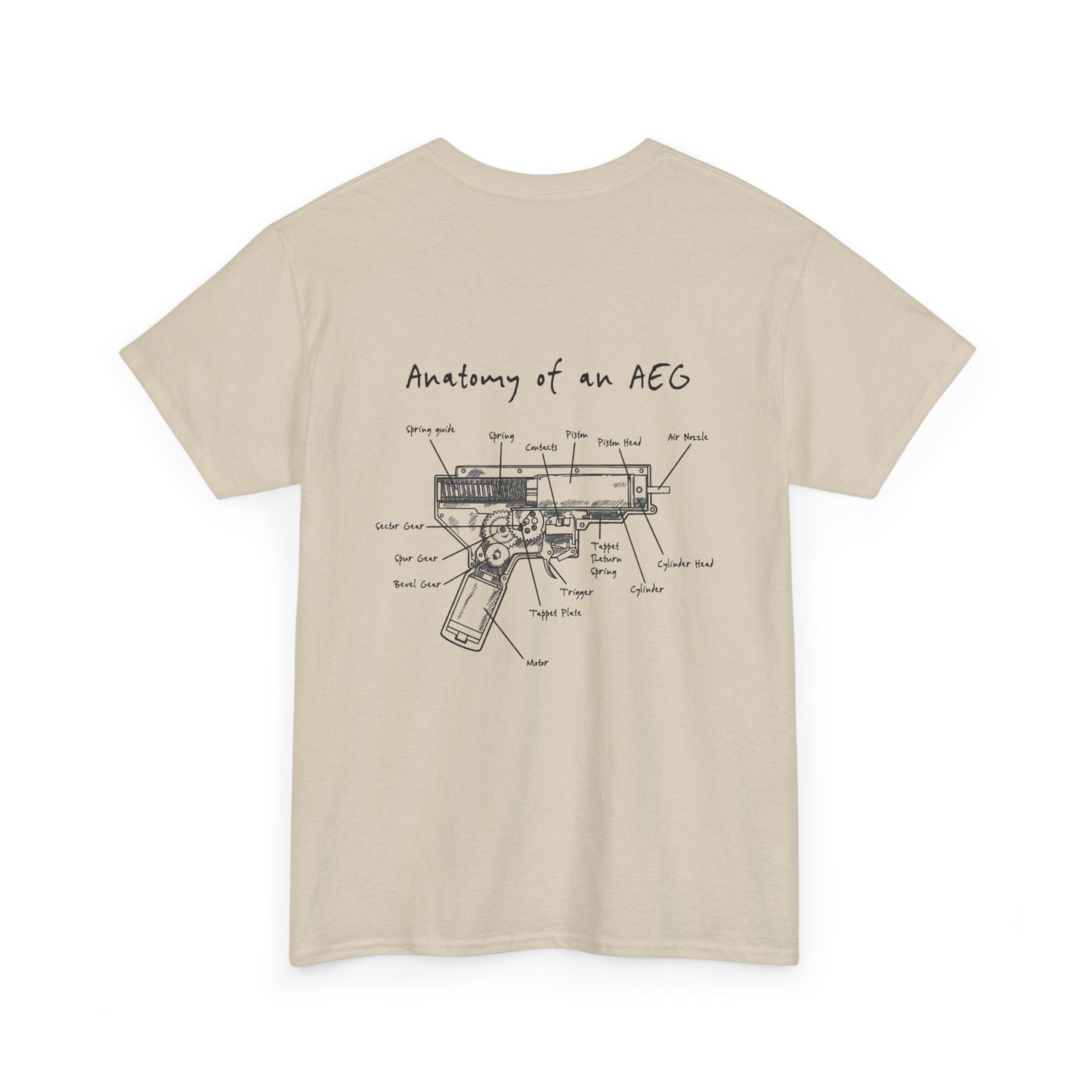 Anatomy and an AEG