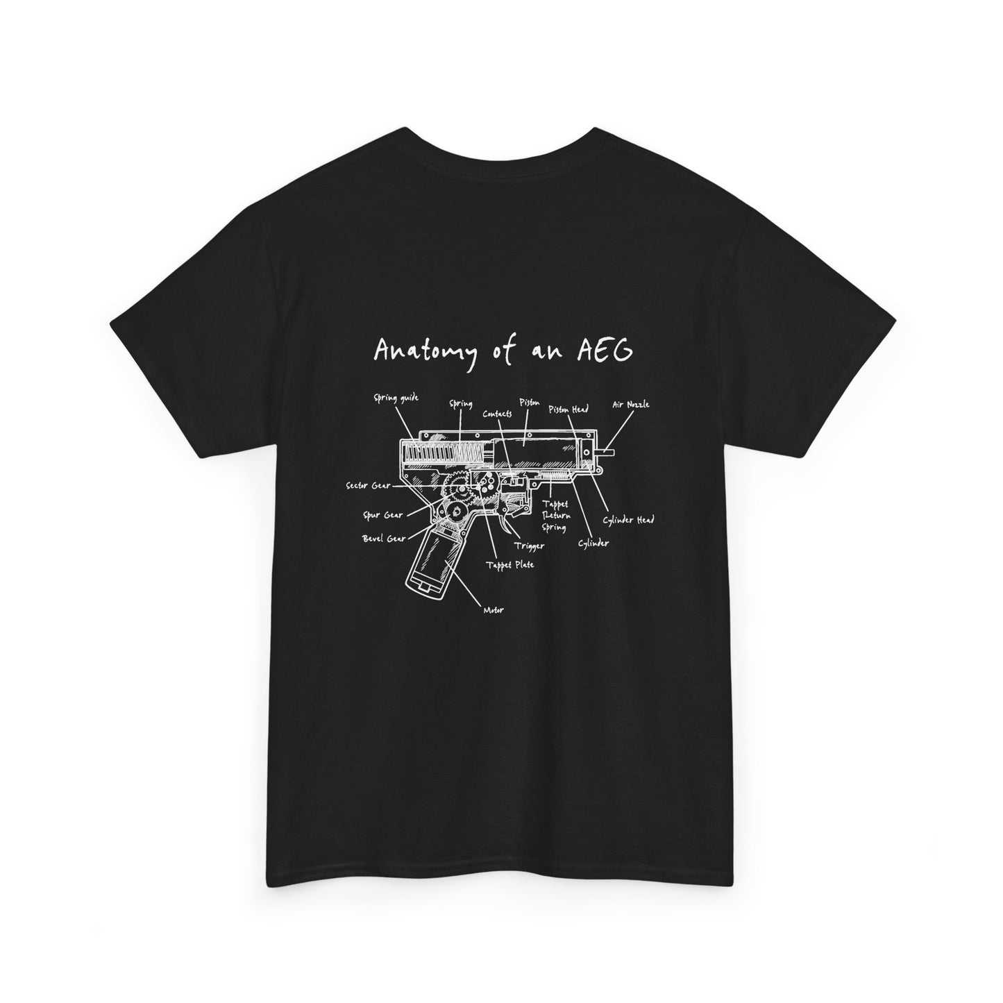 Anatomy and an AEG